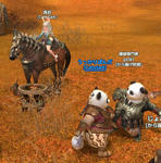 TERA_ScreenShot_20110813_235621.jpeg