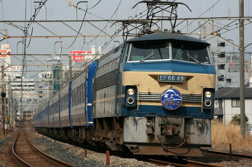 f3159989.jpg