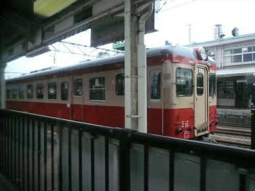 P1010296.jpg