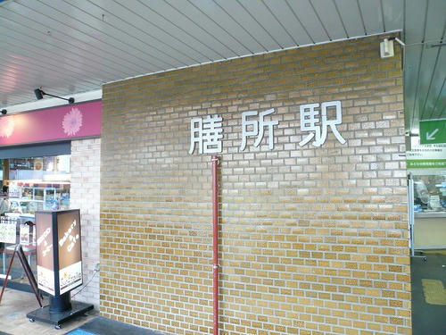 P1010700.jpg