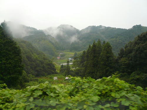 P1010798.jpg