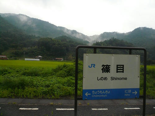 P1010800.jpg