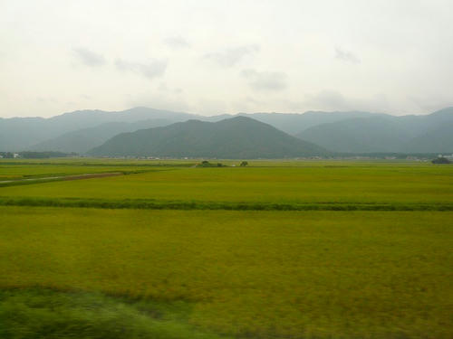 P1010814.jpg