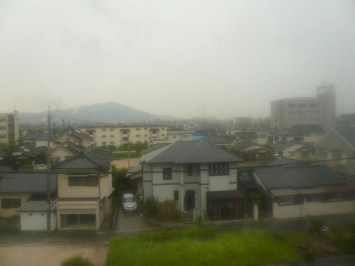P1010792.jpg