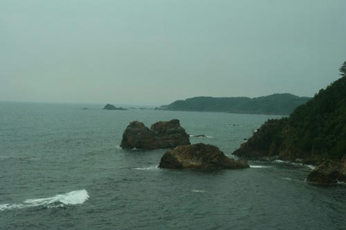 IMG_7251.jpg