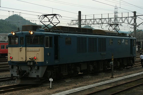 IMG_7264.jpg