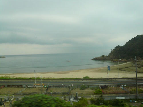 P1010859.jpg