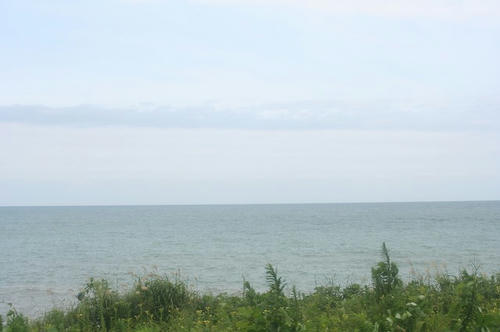 IMG_7391.jpg