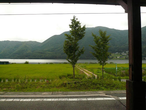 P1010970.jpg