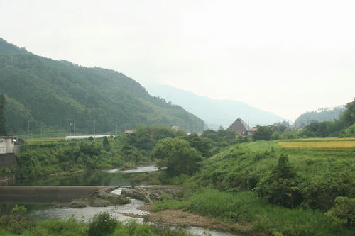IMG_7193.jpg