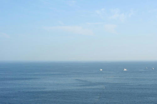 IMG_7495.jpg