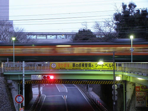P1040007.jpg