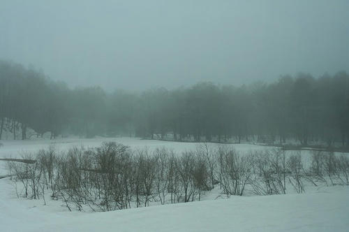 IMG_7892.jpg