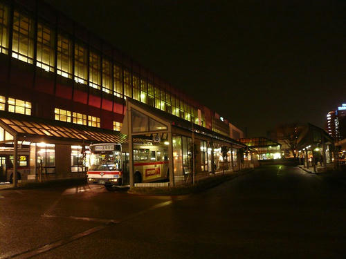 P1020336.jpg