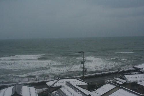 IMG_8039.jpg