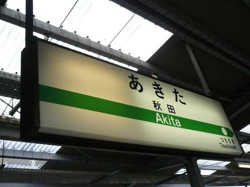 P1020443.jpg
