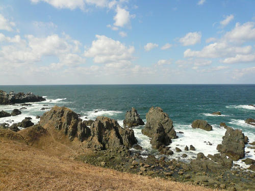 P1020429.jpg