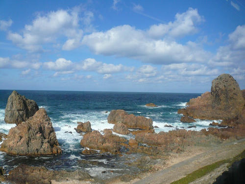 P1020483.jpg