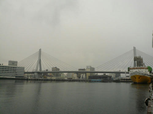 P1020549.jpg