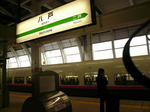P1020555.jpg