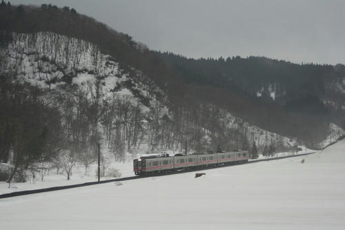IMG_8205.jpg