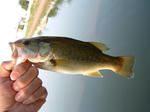 070727.27cm.JPG