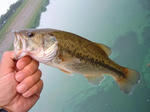 070805.26cm.JPG