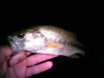 070819.21cm.JPG