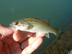 070920.12a.JPG