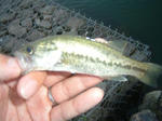 070920.12b.JPG