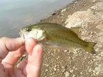 070927.14cm.JPG