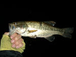 080405.30.syn.JPG