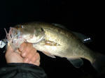 080413.37.s1b.syn.JPG