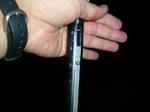 080713.46.1450.ggd3.JPG