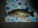 090904.43.1650.ggd5.JPG