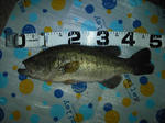 090921.46.1750.ggd4.JPG