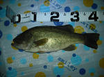 090922.42.1350.ggd2.JPG