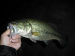 090925.33.ggd.JPG