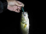 091001.25b.syn.JPG