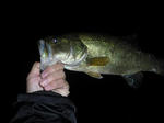 091031.36.syn1.JPG