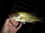 110509.22.syn2.JPG
