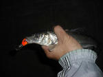 110604.28.nigoi.ggd1.JPG