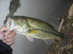 120420.37.syn2.JPG