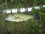 120605.44.1450.syn2.JPG