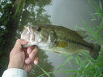 120612.34.syn.JPG
