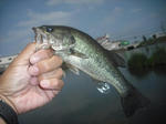 120614.24.btn.JPG