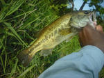 120614.34.syn.JPG