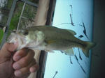 120621.21.syn.JPG