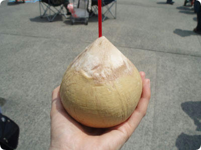 毎年恒例　￥500