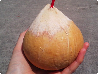 冷たくて美味しいのです